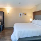 La imagen 18 de la Empresa HOLIDAY INN MEXICO COYOACAN Transportes y Turismo en Ciudad De México CMX