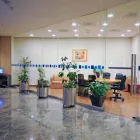 La imagen 38 de la Empresa HOLIDAY INN MEXICO COYOACAN Transportes y Turismo en Ciudad De México CMX