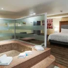 La imagen 45 de la Empresa HOLIDAY INN MEXICO COYOACAN Transportes y Turismo en Ciudad De México CMX