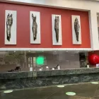 La imagen 22 de la Empresa HOLIDAY INN MEXICO DALI AIRPORT Transportes y Turismo en Ciudad De México CMX