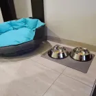 La imagen 82 de la Empresa HOLIDAY INN MEXICO DALI AIRPORT Transportes y Turismo en Ciudad De México CMX