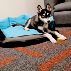 La imagen 88 de la Empresa HOLIDAY INN MEXICO DALI AIRPORT Transportes y Turismo en Ciudad De México CMX