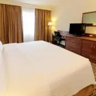 La imagen 6 de la Empresa HOLIDAY INN MONTERREY NORTE Transportes y Turismo en Monterrey NLE