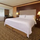 La imagen 48 de la Empresa HOLIDAY INN MONTERREY NORTE Transportes y Turismo en Monterrey NLE