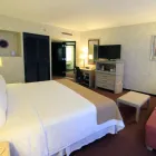 La imagen 34 de la Empresa HOLIDAY INN MONTERREY-PARQUE FUNDIDORA Transportes y Turismo en Monterrey NLE