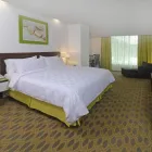 La imagen 17 de la Empresa HOLIDAY INN QUERETARO ZONA KRYSTAL Transportes y Turismo en Queretaro QUE