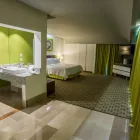 La imagen 67 de la Empresa HOLIDAY INN QUERETARO ZONA KRYSTAL Transportes y Turismo en Queretaro QUE