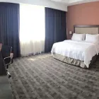 La imagen 71 de la Empresa HOLIDAY INN & SUITES LEON PLAZA MAYOR Transportes y Turismo en Leon GUA