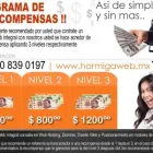 La imagen 2 de la Empresa HORMIGA WEB | DISEÑO DE PAGINAS WEB MÉXICO Servicios Profesionales y de Negocios en Guadalajara JAL