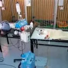 La imagen 3 de la Empresa HOSP VETERINARIO ESTÉTICA CANINA TREVIÑO Salud y Medicina en Reynosa TAM