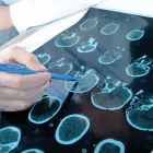 La imagen 3 de la Empresa HOSPITAL ROYAL CARE Salud y Medicina en Iguala GRO