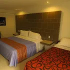 La imagen 10 de la Empresa HOTEL FIRST INN en Texcoco De Mora MEX