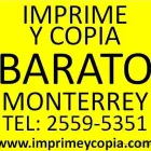 La imagen 1 de la Empresa IMPRIME Y COPIA Servicios Profesionales y de Negocios en San Nicolás De Los Garza NLE