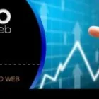 La imagen 3 de la Empresa INDICE212 en Zinacantepec MEX