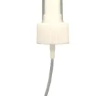 La imagen 4 de la Empresa INDUSTRIAS MAGGIE Transportes y Turismo en Monterrey NLE