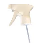 La imagen 5 de la Empresa INDUSTRIAS MAGGIE Transportes y Turismo en Monterrey NLE