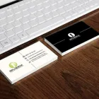 La imagen 2 de la Empresa INFLUENCIA PUBLICIDAD Servicios Profesionales y de Negocios en Culiacán SIN