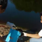 La imagen 3 de la Empresa ING EN LOS SIST DE TRATAMIENTO DE AGUAS Servicios Profesionales y de Negocios en Acapulco GRO