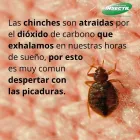 La imagen 1 de la Empresa INSECTIL CONTROL DE PLAGAS Servicios Profesionales y de Negocios en Ciudad De México CMX