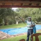 La imagen 4 de la Empresa INSECTIL CONTROL DE PLAGAS Servicios Profesionales y de Negocios en Ciudad De México CMX