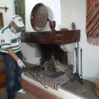 La imagen 6 de la Empresa INSECTIL CONTROL DE PLAGAS Servicios Profesionales y de Negocios en Ciudad De México CMX