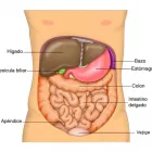 La imagen 1 de la Empresa INSTITUTO DE CIRUGÍA LAPAROSCÓPICA Salud y Medicina en Monterrey NLE