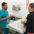 La imagen 3 de la Empresa INTERMÉDICA VETERINARIA DE ESP METEPEC Salud y Medicina en Toluca CMX