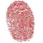 La imagen 5 de la Empresa INVESTIGADORES PRIVADOS CONFIABLES Servicios Profesionales y de Negocios en Tepic NAY