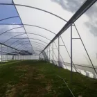 La imagen 2 de la Empresa J&C EQUIPOS E INSUMOS AGRICOLAS en Puebla MEX