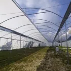 La imagen 3 de la Empresa J&C EQUIPOS E INSUMOS AGRICOLAS en Puebla MEX