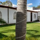 La imagen 3 de la Empresa JARDÍN BOULEVARD MORELIA Organización y Realización de Fiestas y Eventos en Morelia MIC