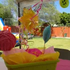 La imagen 6 de la Empresa JARDÍN DE FIESTAS, EVAN KIDS WORLD Organización y Realización de Fiestas y Eventos en Querétaro QUE