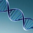 La imagen 1 de la Empresa JBR BIOTECHNOLOGY en Ciudad De México CMX