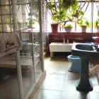 La imagen 2 de la Empresa JET SET SPA Productos y Servicios de Cuidado Personal en Guadalajara JAL