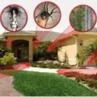 La imagen 4 de la Empresa KASSAR CONTROL TOTAL en Guadalajara JAL