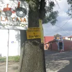 La imagen 3 de la Empresa LA CASA DEL AGRICULTOR Sistemas y Equipos de Riego en San Andrés Cholula PUE