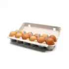 La imagen 1 de la Empresa LA NATURE, LOCAL NATURAL Y SUSTENTABLE Servicios Profesionales y de Negocios en Ciudad De México CMX