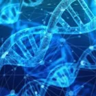 La imagen 3 de la Empresa LABORATORIO DE CITOLOGÍA Y PATOLOGÍA Salud y Medicina en Acapulco GRO