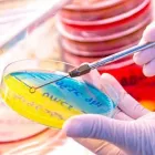 La imagen 1 de la Empresa LABORATORIO FACTOR ANÁLISIS CLÍNICOS Salud y Medicina en Fresnillo ZAC