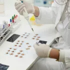 La imagen 3 de la Empresa LABORATORIOS CURIE Salud y Medicina en Tampico TAM