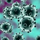 La imagen 3 de la Empresa LAPI LABORATORIO MEDICO SUC. CUAUTITLÁN Salud y Medicina en Cuautitlan Izcalli CMX