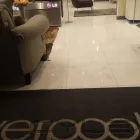 La imagen 22 de la Empresa LEVI SERVICIOS Y SUMINISTROS Servicios Profesionales y de Negocios en Monterrey NLE