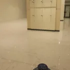 La imagen 28 de la Empresa LEVI SERVICIOS Y SUMINISTROS Servicios Profesionales y de Negocios en Monterrey NLE