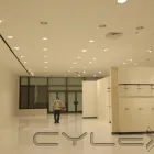 La imagen 30 de la Empresa LEVI SERVICIOS Y SUMINISTROS Servicios Profesionales y de Negocios en Monterrey NLE