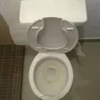 La imagen 5 de la Empresa LIMICAL MEXICO Servicios Profesionales y de Negocios en Zapopan JAL