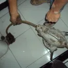 La imagen 3 de la Empresa LIMSAMEX en Ecatepec De Morelos MEX