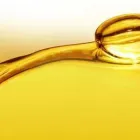 La imagen 2 de la Empresa LUBRICANTES PENINSULARES SA DE CV Industrias y Agricultura en La Paz BCS