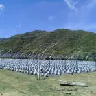 La imagen 6 de la Empresa LUMA GREENHOUSES Sistemas y Equipos de Riego en Guadalajara JAL