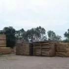 La imagen 2 de la Empresa MADERERIA EL ARBOLITO ASERRADERO Servicios Profesionales y de Negocios en Chihuahua MEX