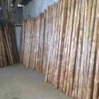 La imagen 7 de la Empresa MADERERIA EL CAMPO Maquinaria, Equipos y Servicios en Torreón COA